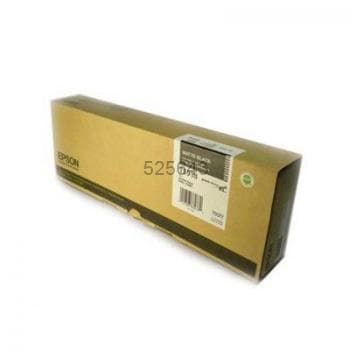 T591800 (C13T591800)
