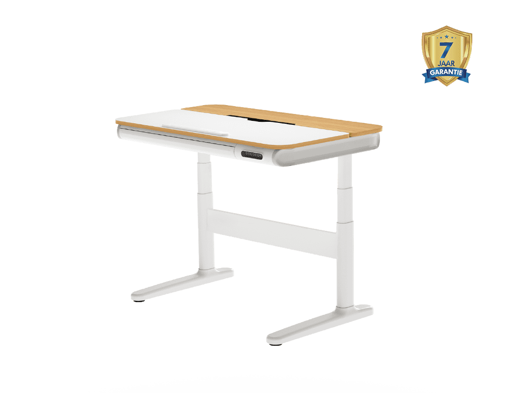 Kinderbureau SD8, kantelbaar tafelblad, met opbergruimte